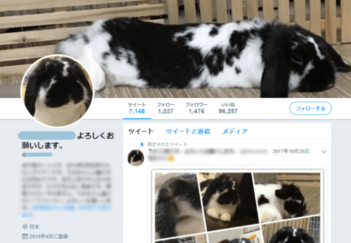 ペットを乗せてるツイッターアカウント